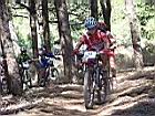IstresODANAK2011014.jpg